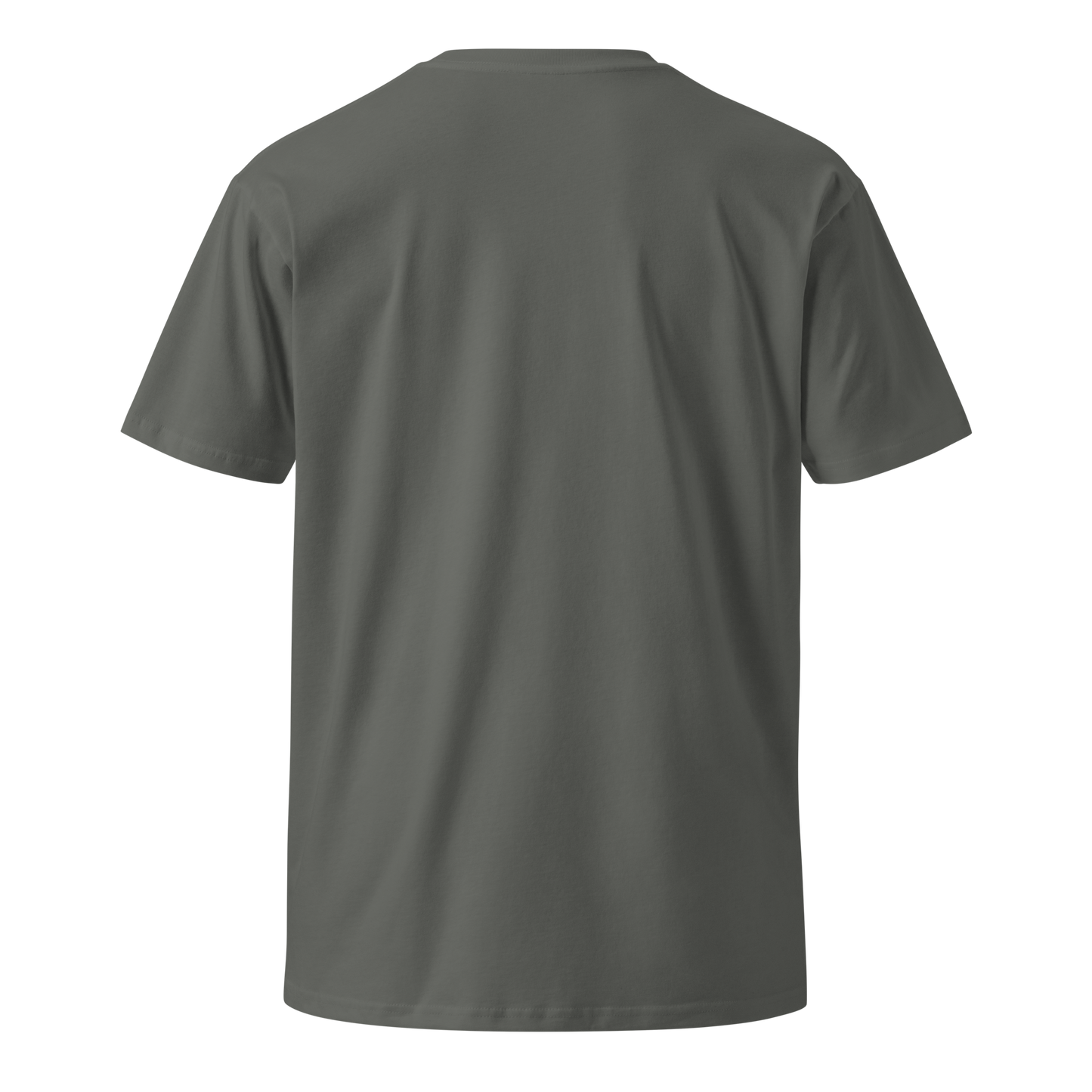 Silver Stacker Banker Women’s Premium T-Shirt