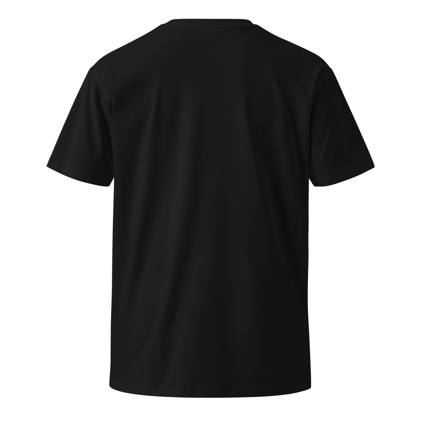 Silver Stacker Banker Women’s Premium T-Shirt