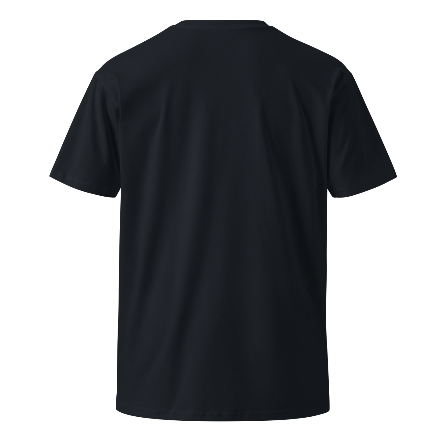 Silver Stacker Banker Women’s Premium T-Shirt